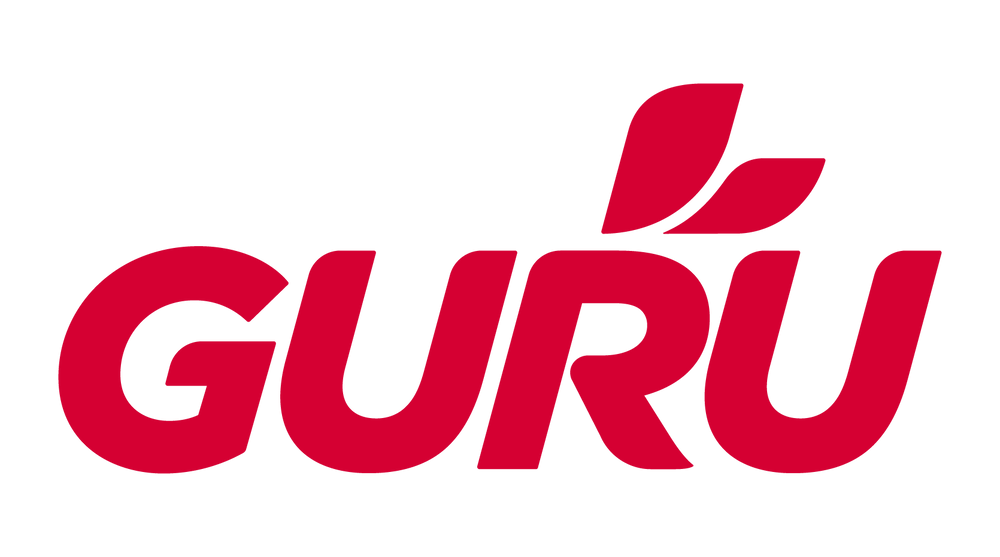 Guru logo